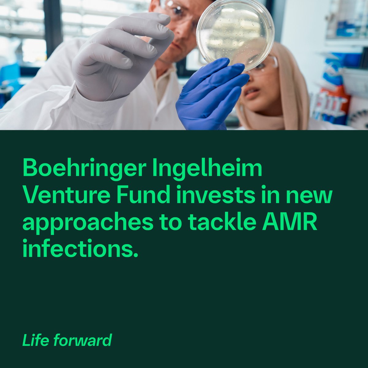 Boehringer's tweet photo. #News: Our Venture Fund invests in @Obulytix to develop antimicrobial resistant (#AMR) infection treatments. We are committed to invest EUR 200 million to  combat emerging infectious diseases.
Learn more: https://t.co/D92dnGGRlK 

#BacterialInfections #Innovation https://t.co/b7Qw8PB1XD
