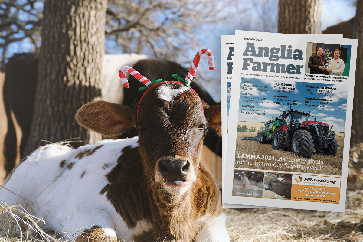December is here and so is Anglia Farmer! Read our latest edition featuring an exciting preview of #Lamma2024 ahead of the show in January.

Read the new issue here: issuu.com/countrywidepub…

#britishfarming #farminguk #Lamma #Angliafarmer