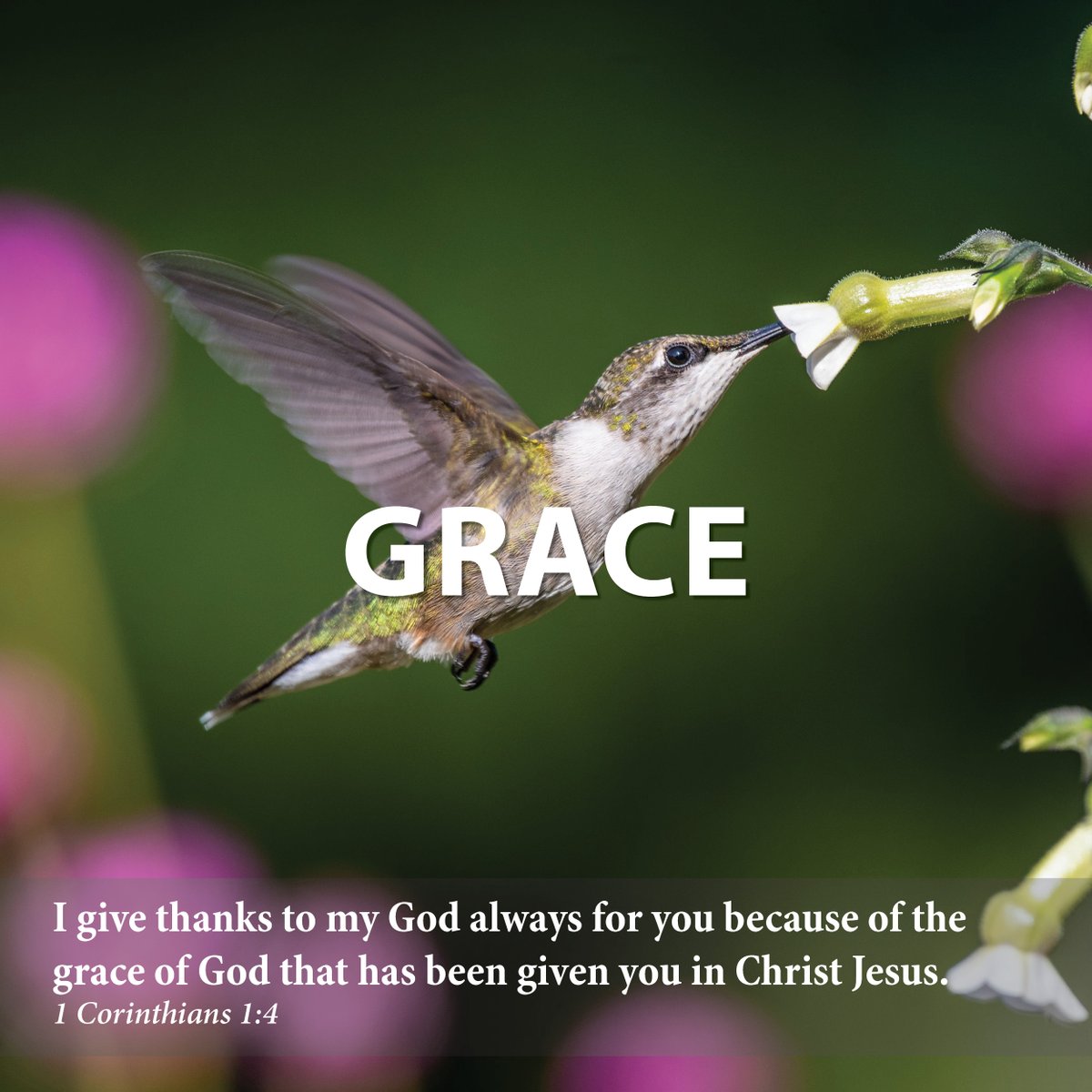 GRACE

When my father says grace before a meal, the beginning of his prayer often varies–giving thanks for family and guests, celebrating special moments. Keep reading: adventword.org