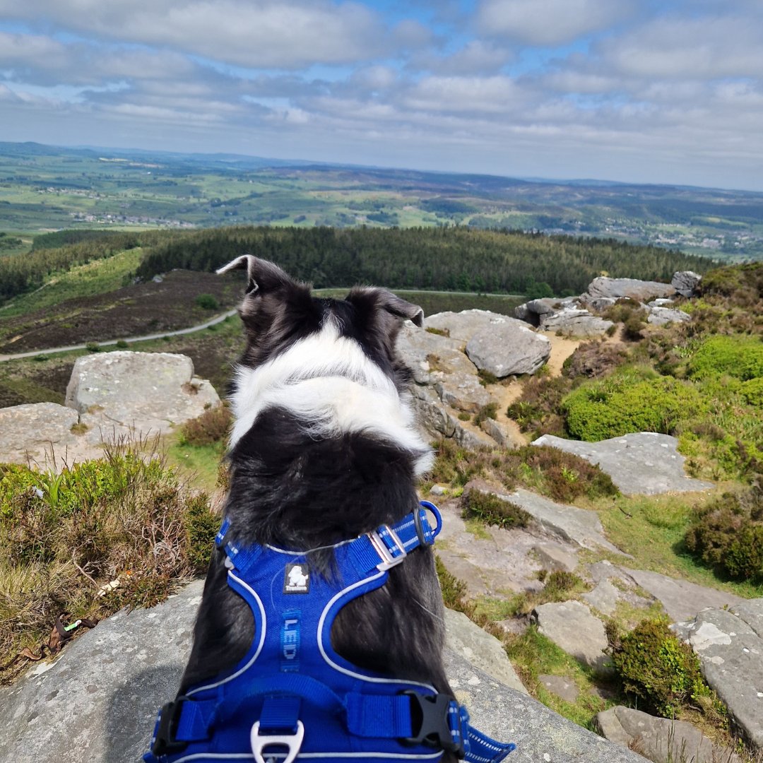 It's your last chance to enter our positive mental health image library competition! 📸 We’ve loved seeing all the photos of what good mental health means to you.💚 Submit your image by Sunday (10 Dec) and be in with a chance of winning up to £600! bit.ly/465qiGg