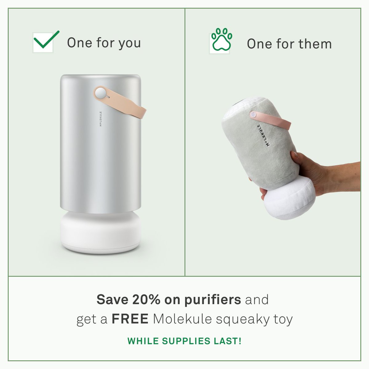 We have a few pet-pleasing purifiers left (both the kind that destroy pollutants, and the kind they’ll try their best to destroy,) so hurry and shop 20% off through Saturday.