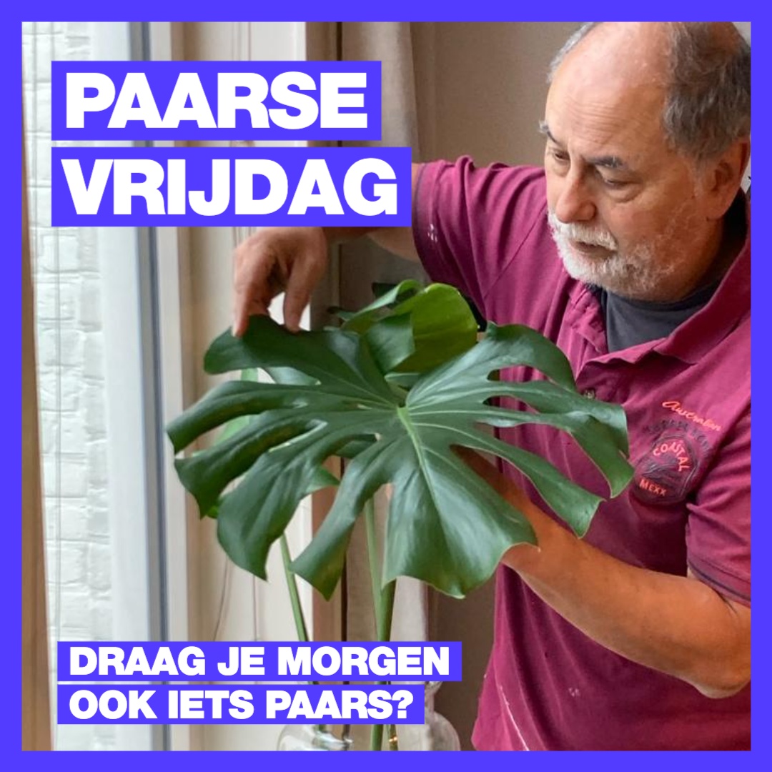 Morgen is het #PaarseVrijdag. Veel scholieren, studenten en docenten (en anderen) dragen dan iets paars om hun solidariteit met #lhbtqi+-ers te tonen.
Ook raadslid en oud-docent Winfried draagt morgen zijn paarse shirt. Doe jij mee? Ook als je niet op school werkt! 💚❤️💜