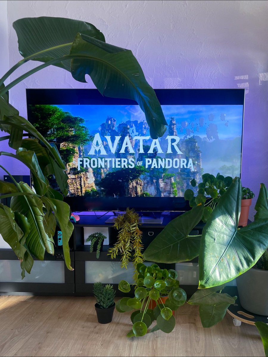 GameStop DE tweet media