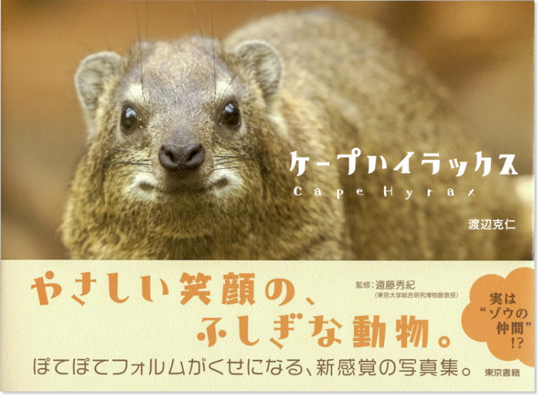 写真家 渡辺克仁 tweet media