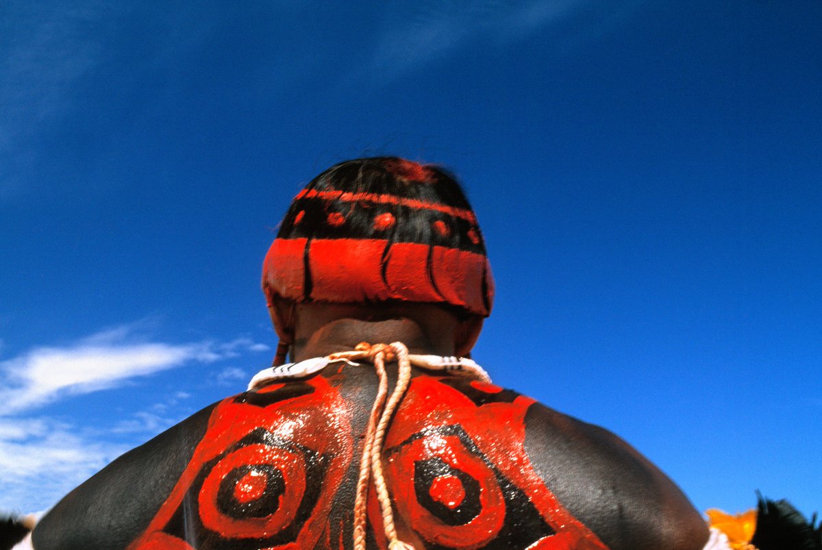 N_FieldToken's tweet photo. The UATO PROJECT is a window of communication with the Kalapalos, the Upper Xingu, its fauna, and flora. And at the same time, a window of opportunity to enrich ourselves as people.
#NFT #NFTCommunity #Ethereum #OpenSeaNFT
#IndigenousPeoples #nativefieldtoken https://t.co/uprAGJHUxz