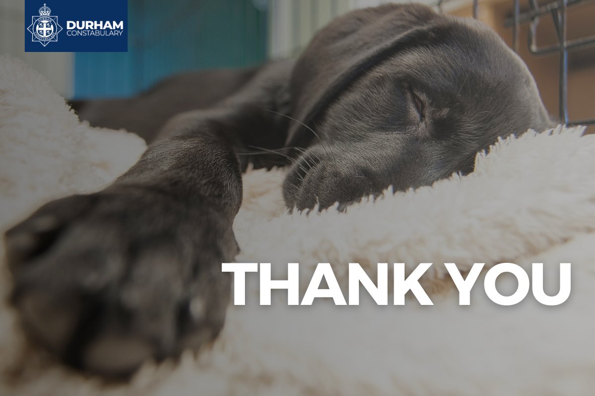 DurhamPolice's tweet image. 61-year-old Gavin from #Peterlee has been found.

Thank you for all of your information to help us get him home safely.