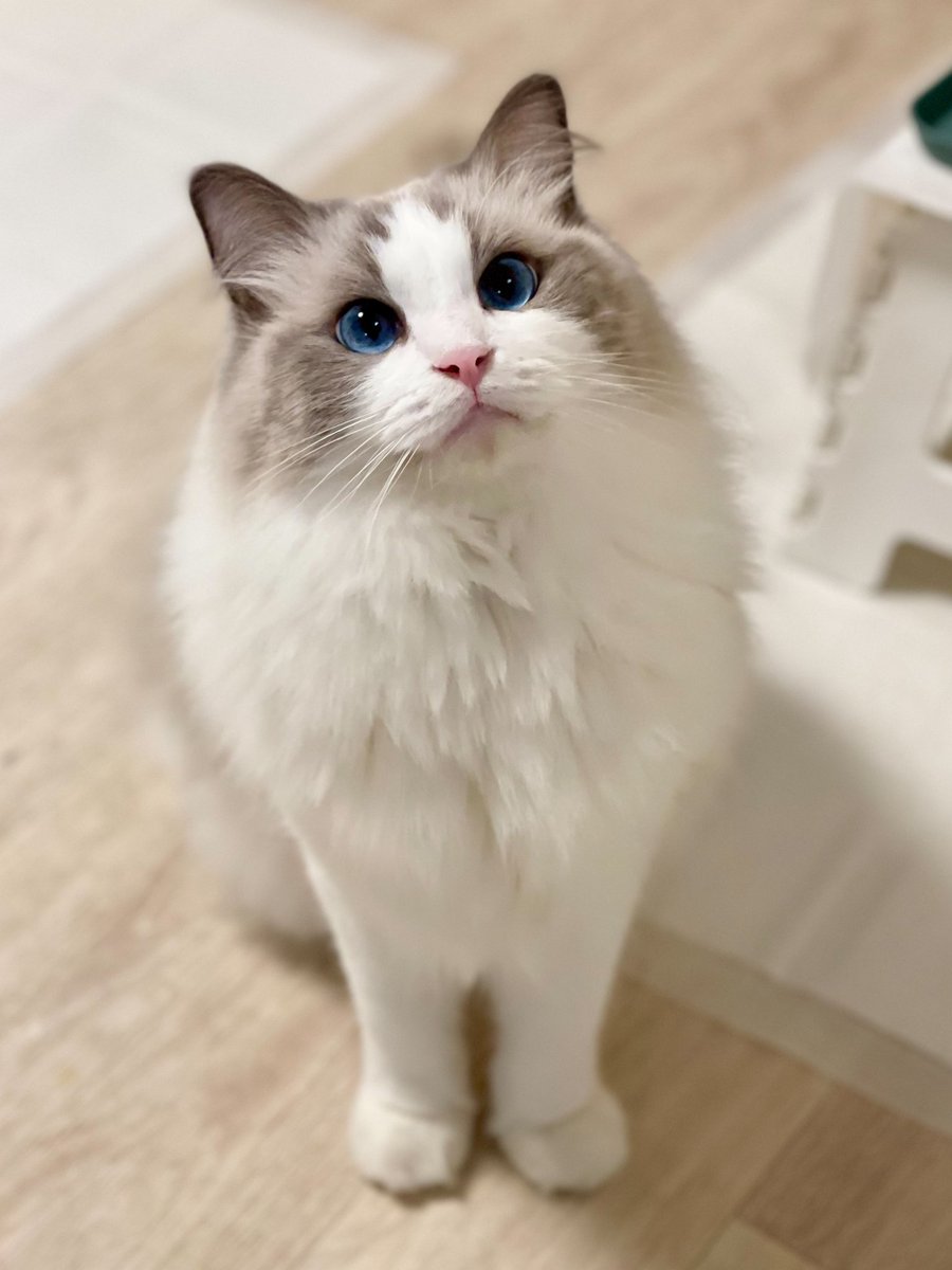 確認⸜(๑'ᵕ'๑)⸝♬︎♡ 写真撮ってくれてありがとう！ 4枚目の併せ強すぎ