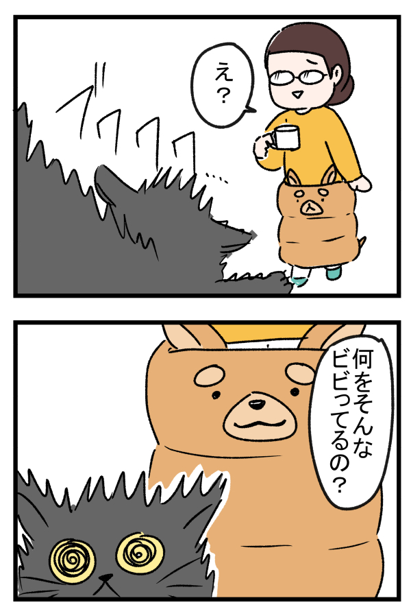 うちの猫をビビらせてしまった。2 