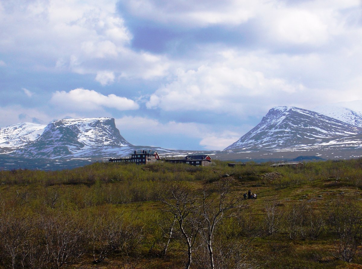 Not too late to apply for Fully Funded Fieldwork in the Arctic! 📆 INTERACT Transnational Access Call for 2024 is open until 15th December. Abisco Scientific Research Station is one of the 38 stations offering Transnational Access. Welcome with your application!