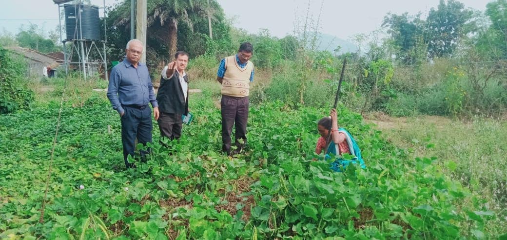 cwsngo's tweet photo. Empowering Dangarias!  CWS &amp; ICAR-CTCRI unveiled Arrowroot Processing Machine, transforming lives in #NiyamgiriHills!

Now, 200+ families can process their produce &amp; earn a better income!  Reduced dependency on middlemen &amp; secured livelihoods!  #Odisha #CWS #ICARCTCRI #Arrowroot https://t.co/RPq53S3zo3