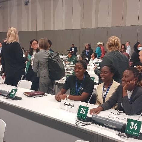 Duapaproject's tweet photo. Amidst the ongoing National Adaption Plans discussions at #COP28 , where our Youth Bridge Foundation Youth Advisory Board Member, Sharon Asenso, joined as a Junior Negotiator with the Ghana delegation, significant strides emerged from yesterday's negotiation on loss and damage. https://t.co/BSRjCIEtqA