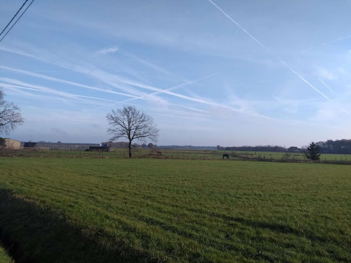wimboermans's tweet photo. Wim Boermans Malle 11.30 #vrtweer https://t.co/D3IZrESY3S