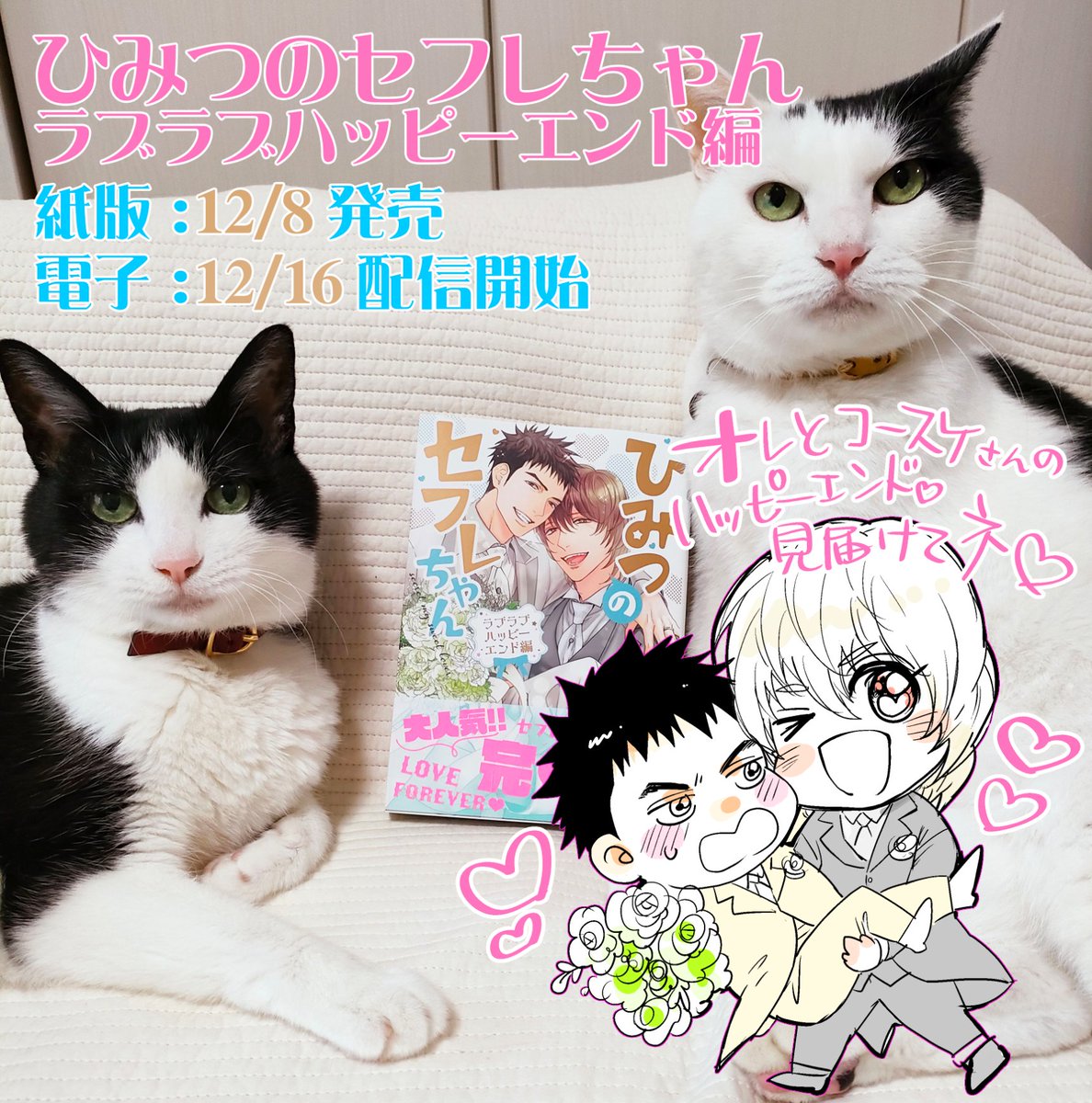 ついに紙版明日発売です～～!💒トモとコースケを一緒に見届けていただけたら嬉しいです💖

『ひみつのセフレちゃん ラブラブハッピーエンド編』
🎉12/8発売🎉
Amazon▶️https://t.co/kBrLHVrI3p
コミコミ▶️https://t.co/nKdFyOL8QE
アニメイト▶️https://t.co/Yh0p8Xd2Lx 