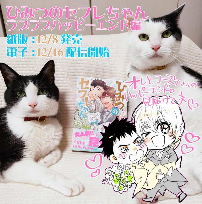 ついに紙版明日発売です～～!💒トモとコースケを一緒に見届けていただけたら嬉しいです💖

『ひみつのセフレちゃん ラブラブハッピーエンド編』
🎉12/8発売🎉
Amazon▶️https://t.co/kBrLHVrI3p
コミコミ▶️https://t.co/nKdFyOL8QE
アニメイト▶️https://t.co/Yh0p8Xd2Lx 