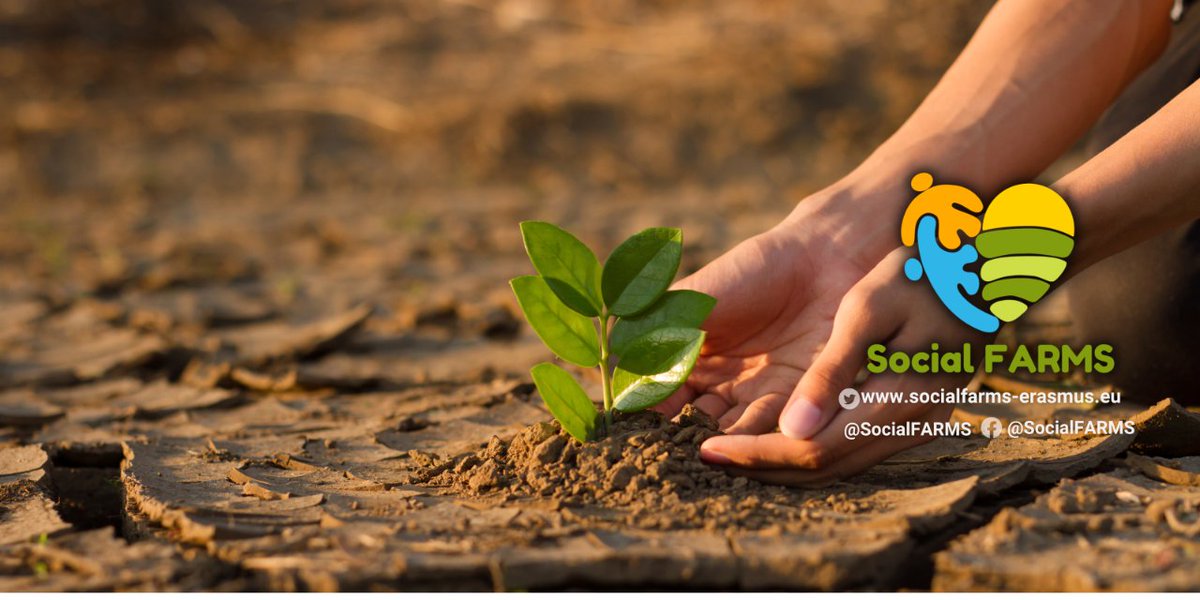 As #COP28 unfolds, the focus on #climatechange and its human impact intensifies. #SocialFarming emerges as a sustainable solution, promoting resilience &amp; community adaptation to address these pressing challenges. 👨🌾🌍🌱 

#ClimateAction #GreenFarming #SocialAgriculture