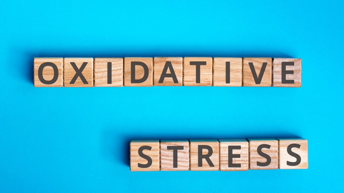 Oxidative stress can affect your wellbeing significantly. 

It happens when there's an imbalance of reactive molecules in your body. 

Explore how this impacts your health and steps to manage it effectively. 

buff.ly/3vMogLf 

#OxidativeStress #HealthManagement