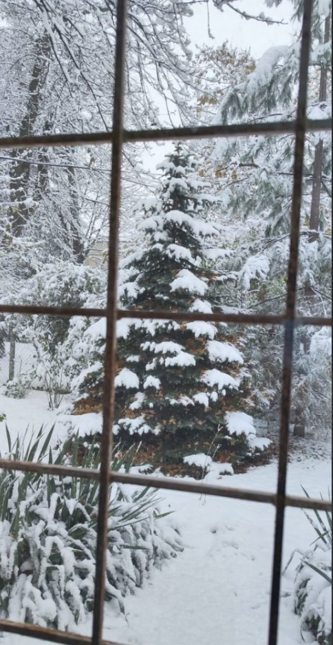 Good winter morning!