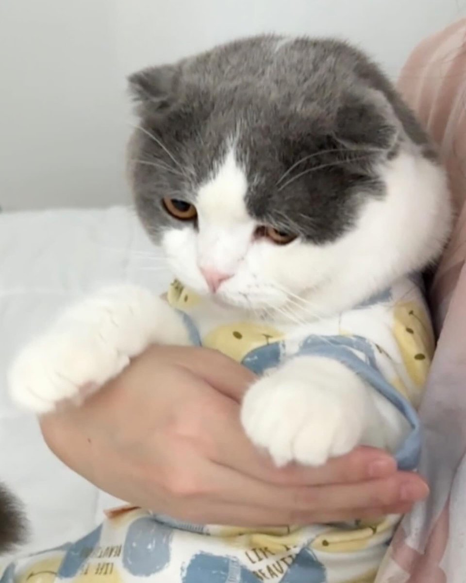 เกิดเป็นอุ๋นอ่ะ มี๊ซื้อเสื้อมาให้ใครแล้วใส่ไม่ได้ คืออุ๋นรับจบหมด หุ่นนายแบบประจำบ้าน!!!