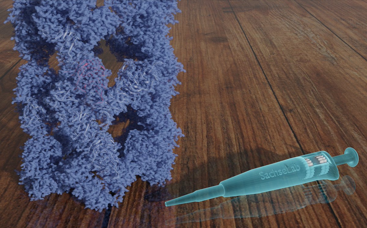 New research from our lab! nature.com/articles/s4146… Atg18 oligomer organization in assembled tubes and on lipid membrane scaffolds