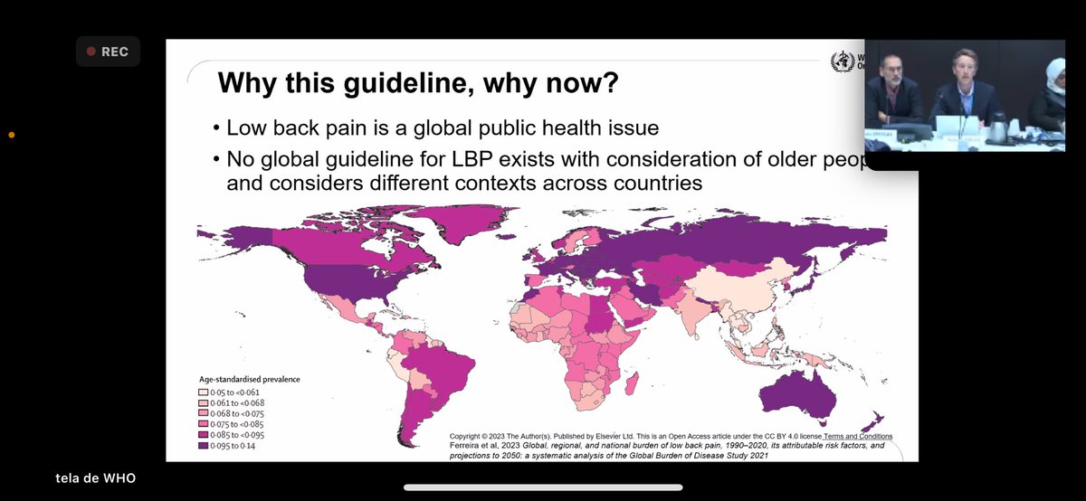 <a href="/AndrewMBriggs/">Andrew Briggs</a> presenting the WHO Guidelines for primary LBP. Congratulations Andrew for all the work you have been doing.