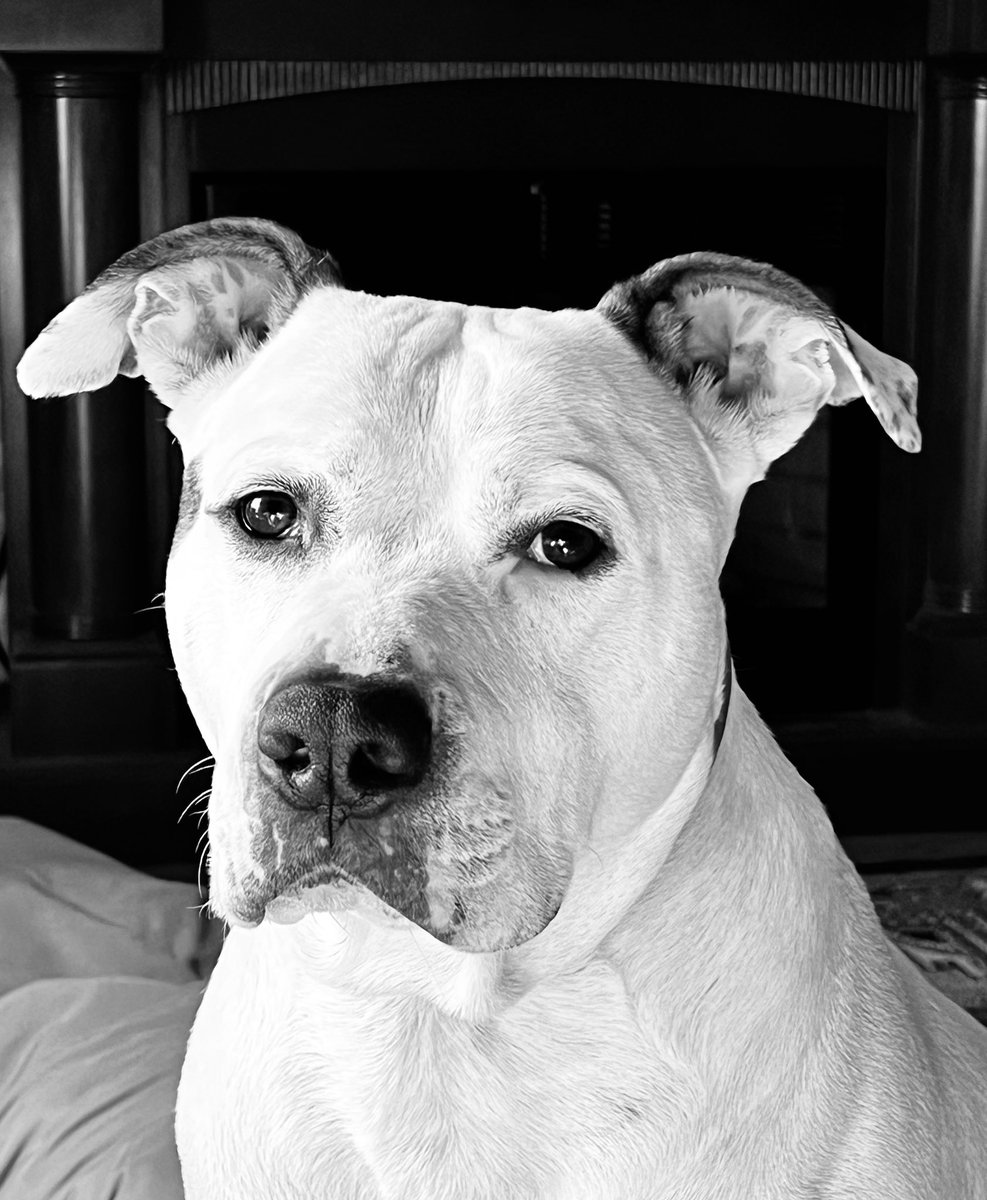 McK☘️Hiker tweet media