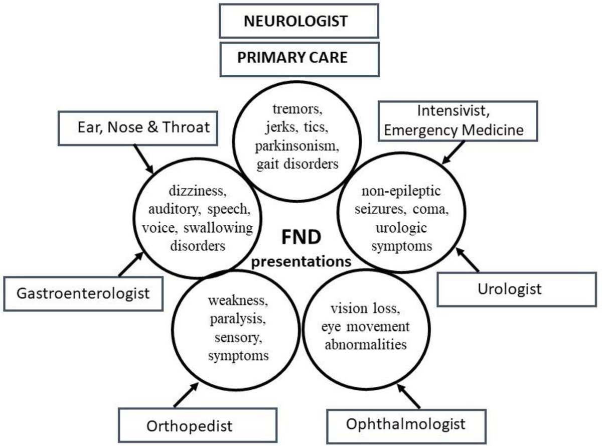 Functional Neurological Disorder: Historical Trends and Urgent Directions neurores.org/index.php/neur…