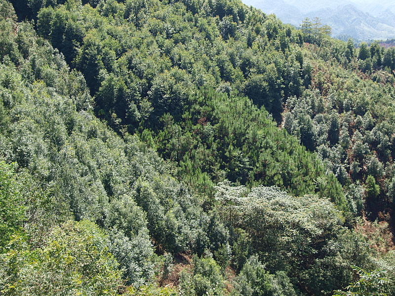 We offer two exciting #PhD positions. One is within the @jena_experiment on #soil #multistability, and the other is in the #tropics <a href="/TreeDi1/">TreeDì</a> looking at #microclimate and soil #functioning.  Find out more here: idiv.de/en/groups-and-…