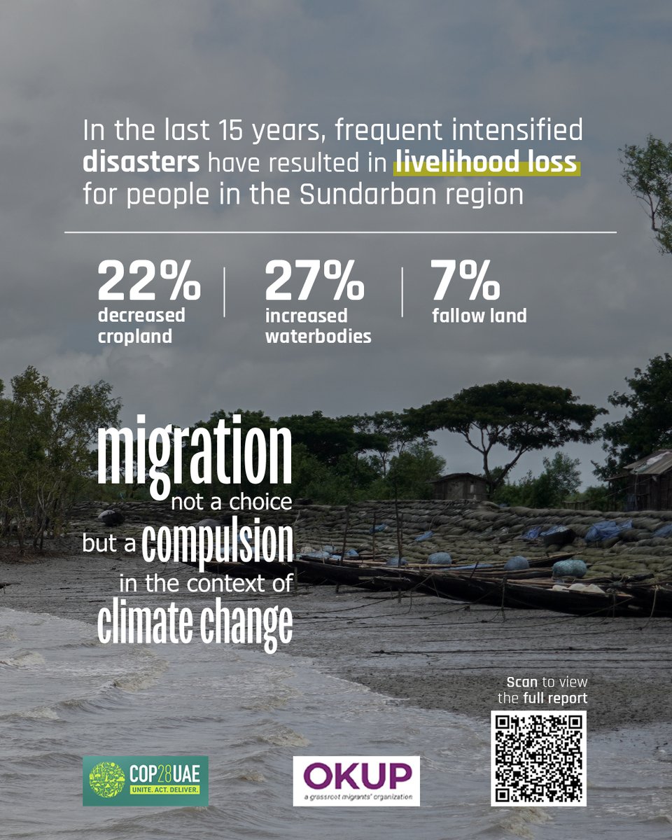 ↘️OKUP's recent study indicates that, In the last 15 years frequent intensified disaster have decreased 22% cropland, increased 27% waterbodies, 7% fallow land resulting livelihood loss of people in the Sundarban region.
#migration #climatechange #COP28 #COP28Dubai