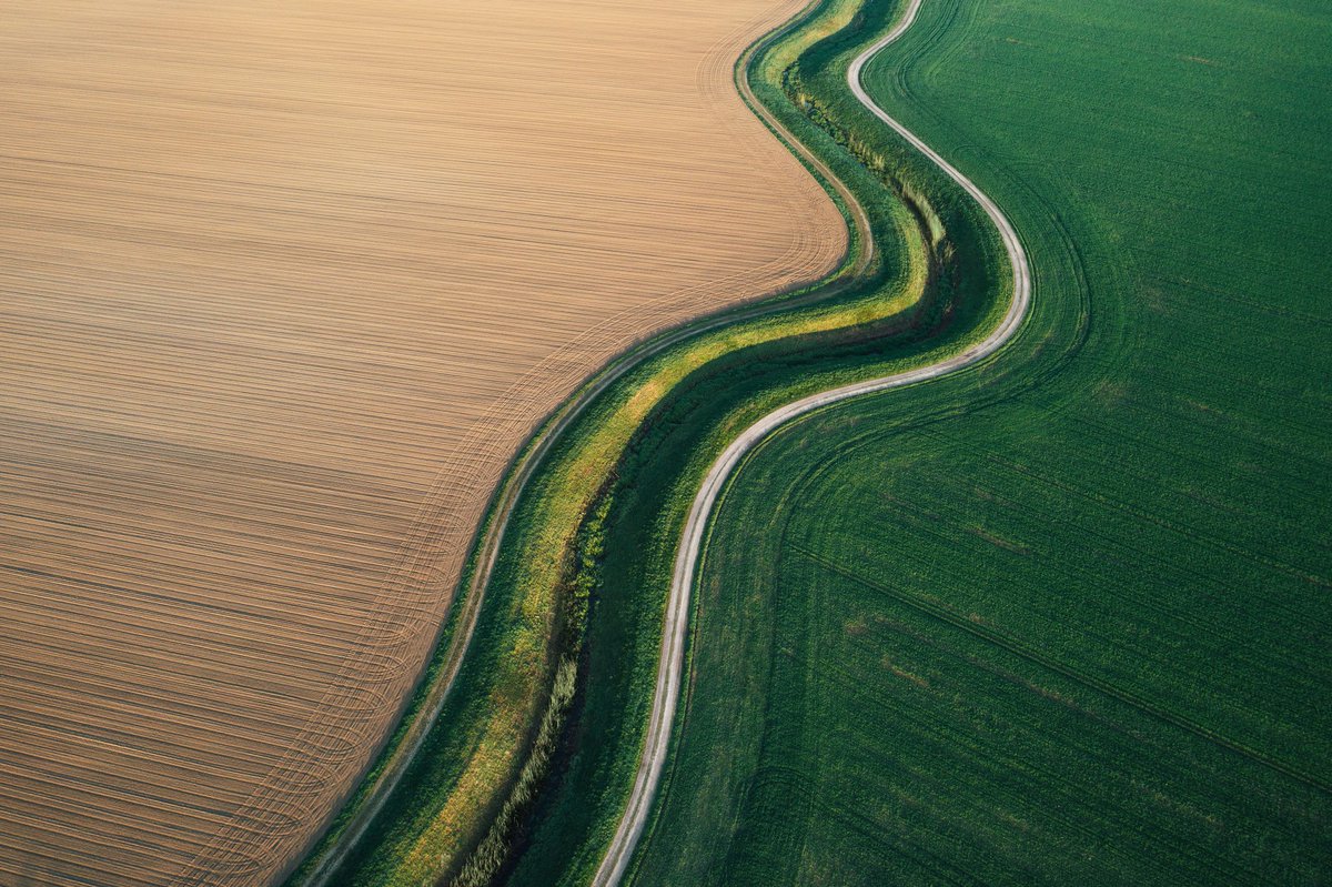 PFPEurope's tweet photo. #PrimaryFoodProcessors: We use all raw materials processed to deliver a range of products: eg food, animal feed, biofuels, pharmaceuticals & personal care products, playing a central role in the EU’s #bioeconomy. Find out more in our @eaAgriFood article:
https://t.co/k0YZIm9mGW https://t.co/udFrFSl6s2