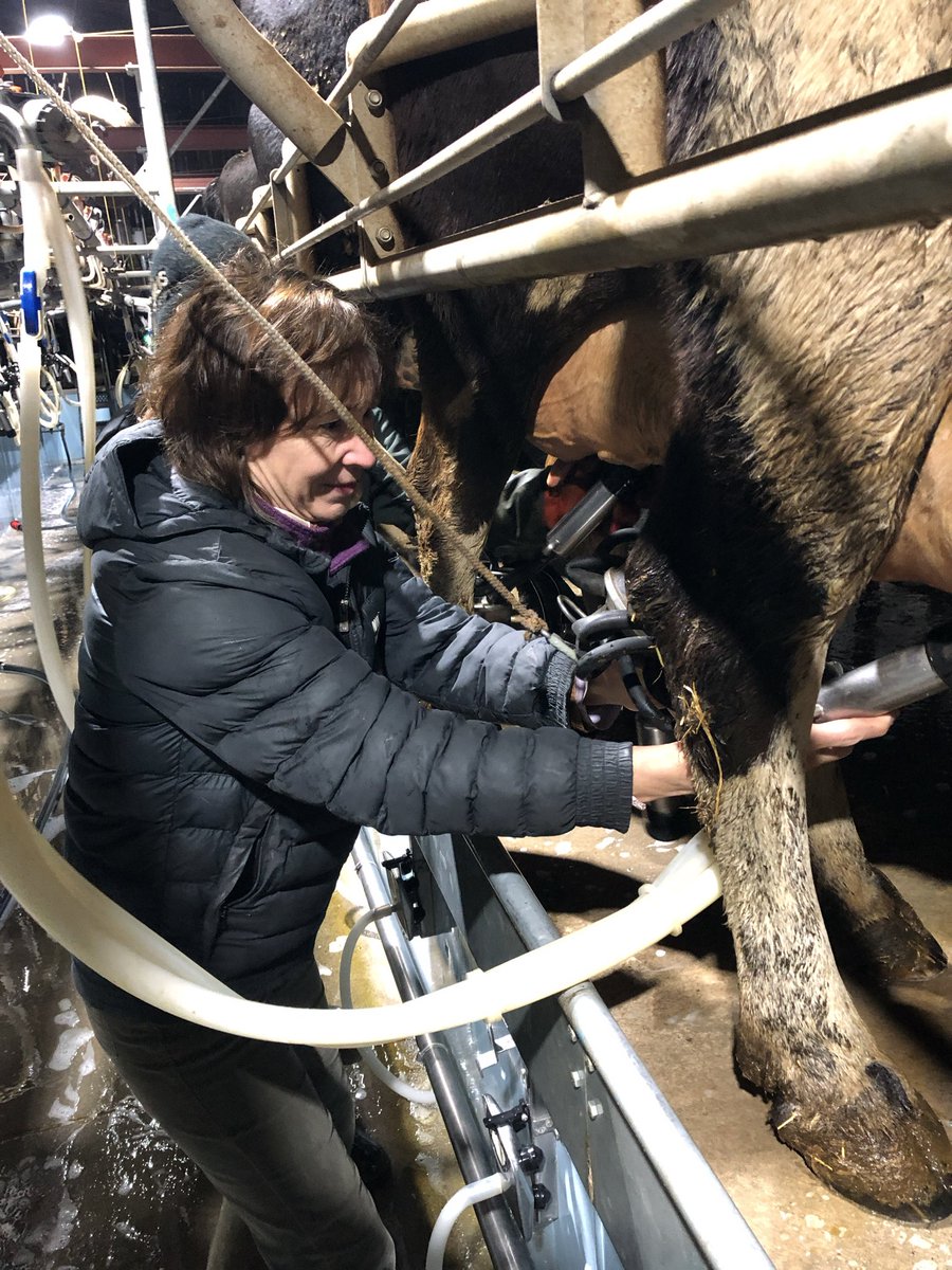 FrancesSSellers's tweet image. .. soon got put to work. #TechToTable #MilkingWithRich