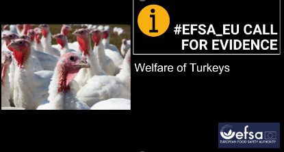 Animals EFSA tweet media