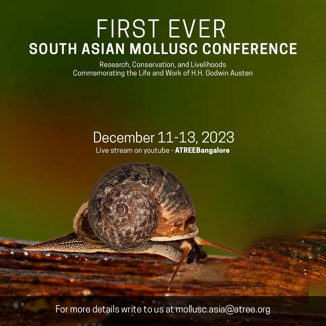 The first ever South Asian Mollusc Conference is set to commence in just two days! 

Organised by the Freshwater Ecology and Conservation Lab at ATREE, the conference is scheduled for December 11-13, 2023.