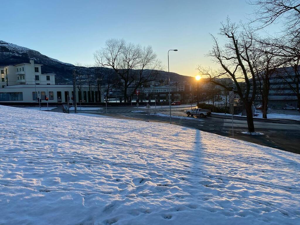 Kerim Hestnes Nisancioglu tweet media