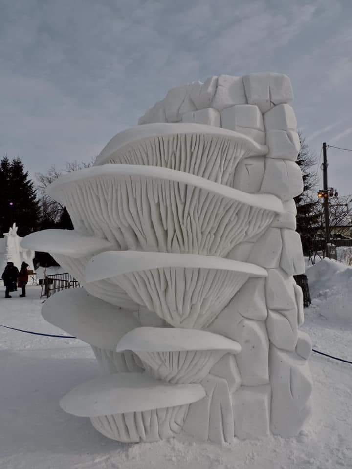 Ice sculpture of oyster mushrooms. 📷📷📷
Photo credit: Unknown. 📷