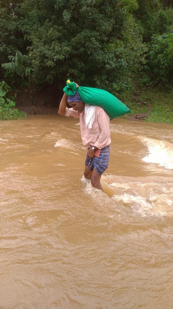 manoj_naandi's tweet photo. Elsewhere in Araku tribal belt, the cyclonic rain lashed on the world’s best coffee farms. You can see two farmers of Luvasingi village with their treasured bag of red cherries to the Red Truck pickup.
This #GemsOfAraku @SherriJohns may have a rare gem Microlot for auction. https://t.co/Tgde353d6U