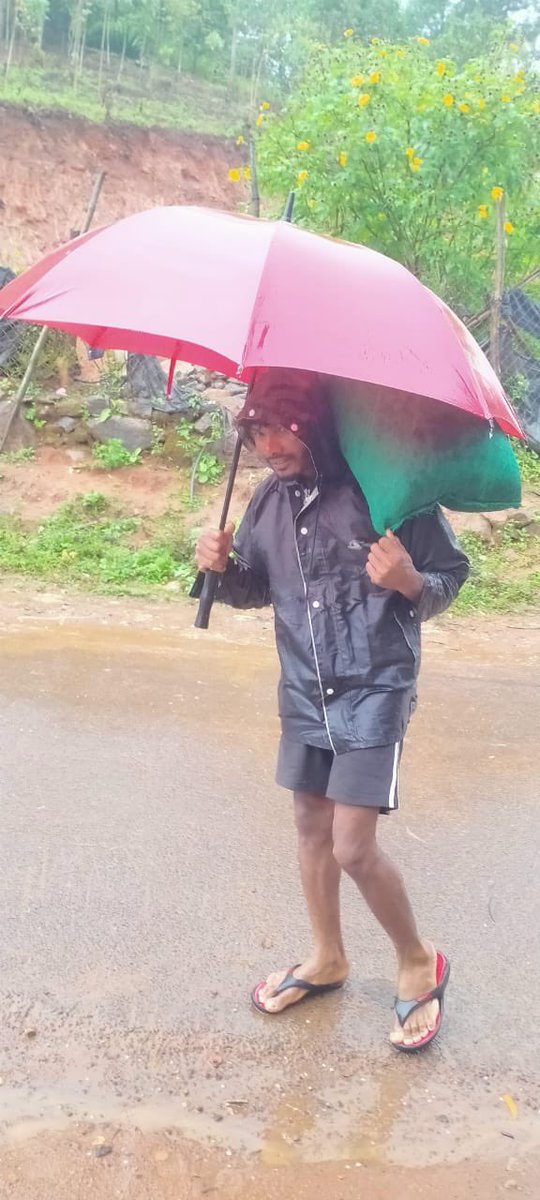 manoj_naandi's tweet photo. Elsewhere in Araku tribal belt, the cyclonic rain lashed on the world’s best coffee farms. You can see two farmers of Luvasingi village with their treasured bag of red cherries to the Red Truck pickup.
This #GemsOfAraku @SherriJohns may have a rare gem Microlot for auction. https://t.co/Tgde353d6U