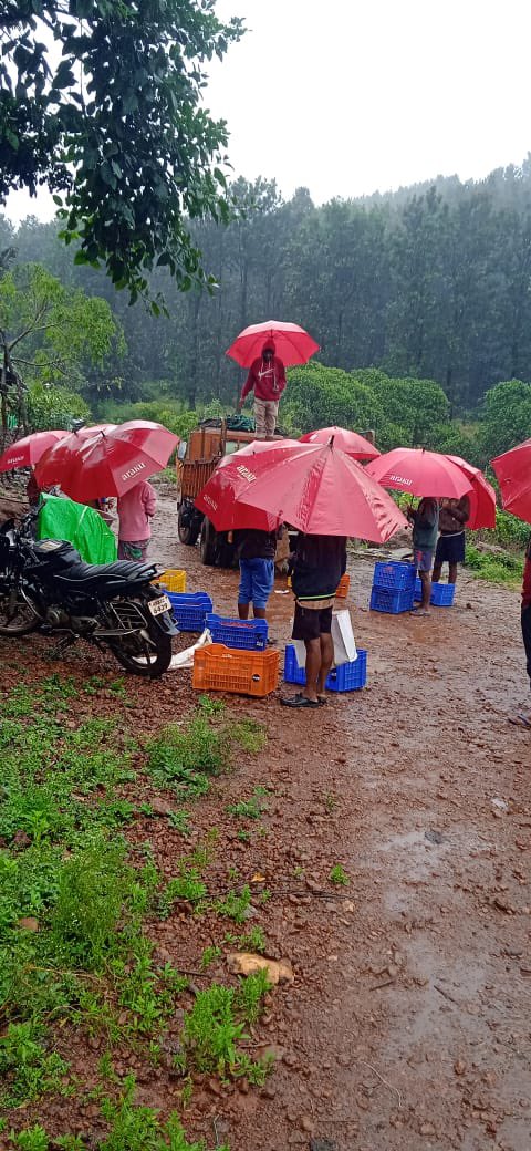 manoj_naandi's tweet photo. Elsewhere in Araku tribal belt, the cyclonic rain lashed on the world’s best coffee farms. You can see two farmers of Luvasingi village with their treasured bag of red cherries to the Red Truck pickup.
This #GemsOfAraku @SherriJohns may have a rare gem Microlot for auction. https://t.co/Tgde353d6U