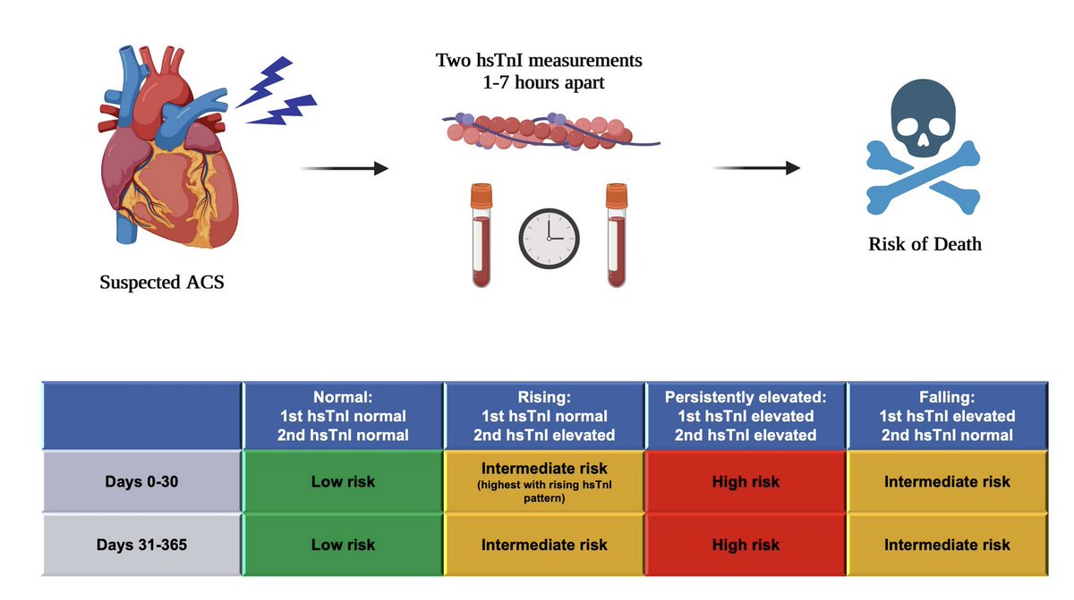 'Serial troponin-I and long-term outcomes in subjects with suspected acute coronary syndrome' finally out in #EJPC @ESC_Journals Link to full paper: academic.oup.com/eurjpc/advance… @mvaduganathan @DLBHATTMD @TorBiering @CIRL_DK Graphical abstract below: