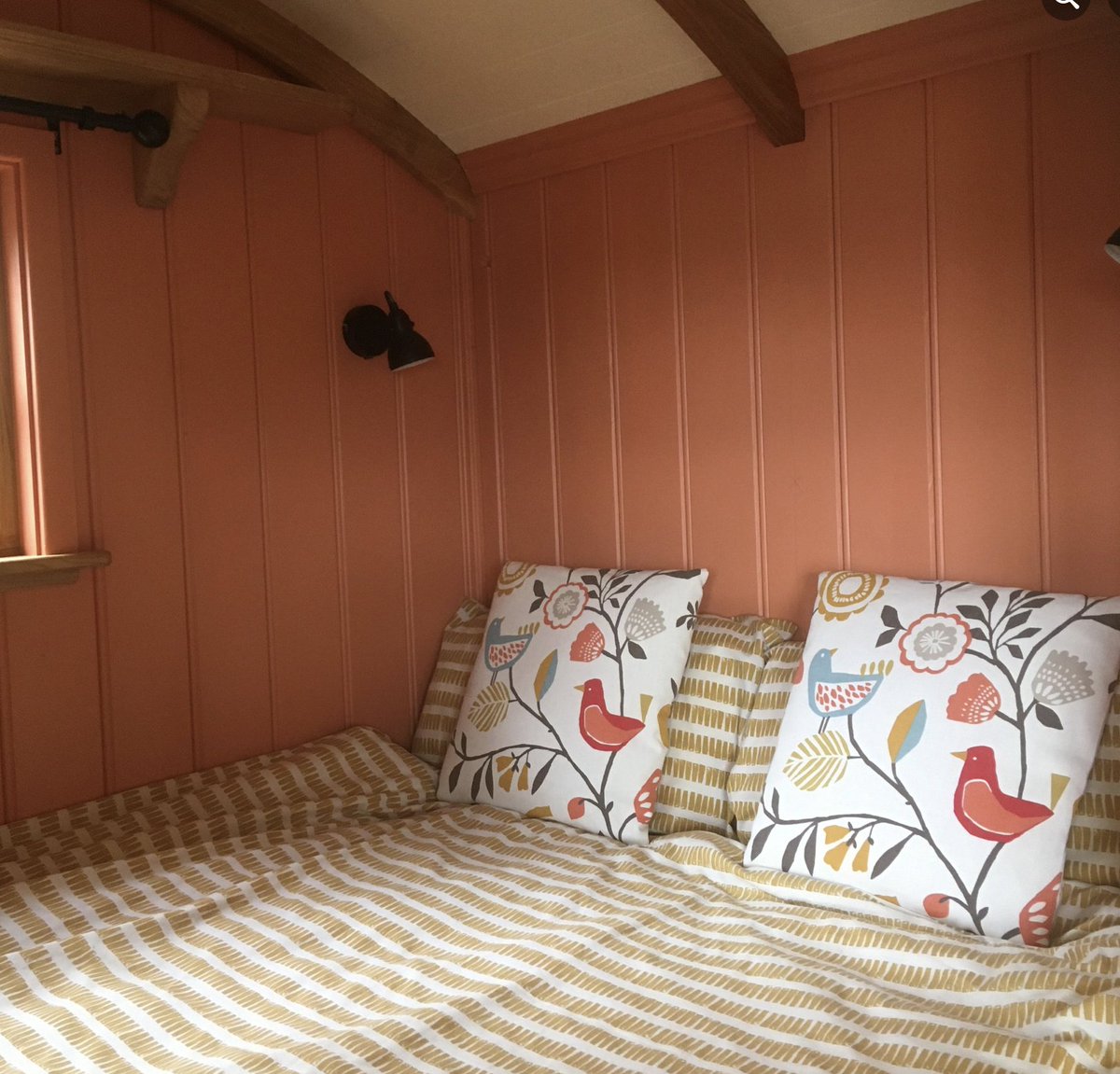 Dicky Deans Ltd tweet media