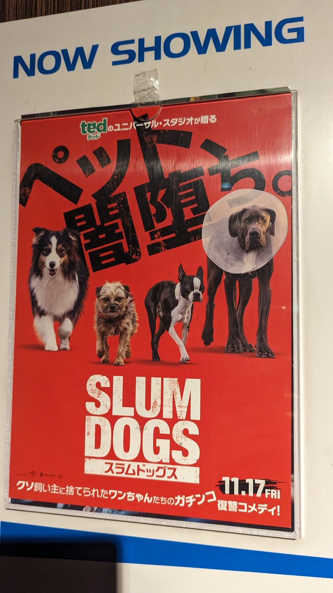 azalea331's tweet photo. 🐶
#スラムドッグス
#SLUMDOGS https://t.co/LmZnqUuBhO