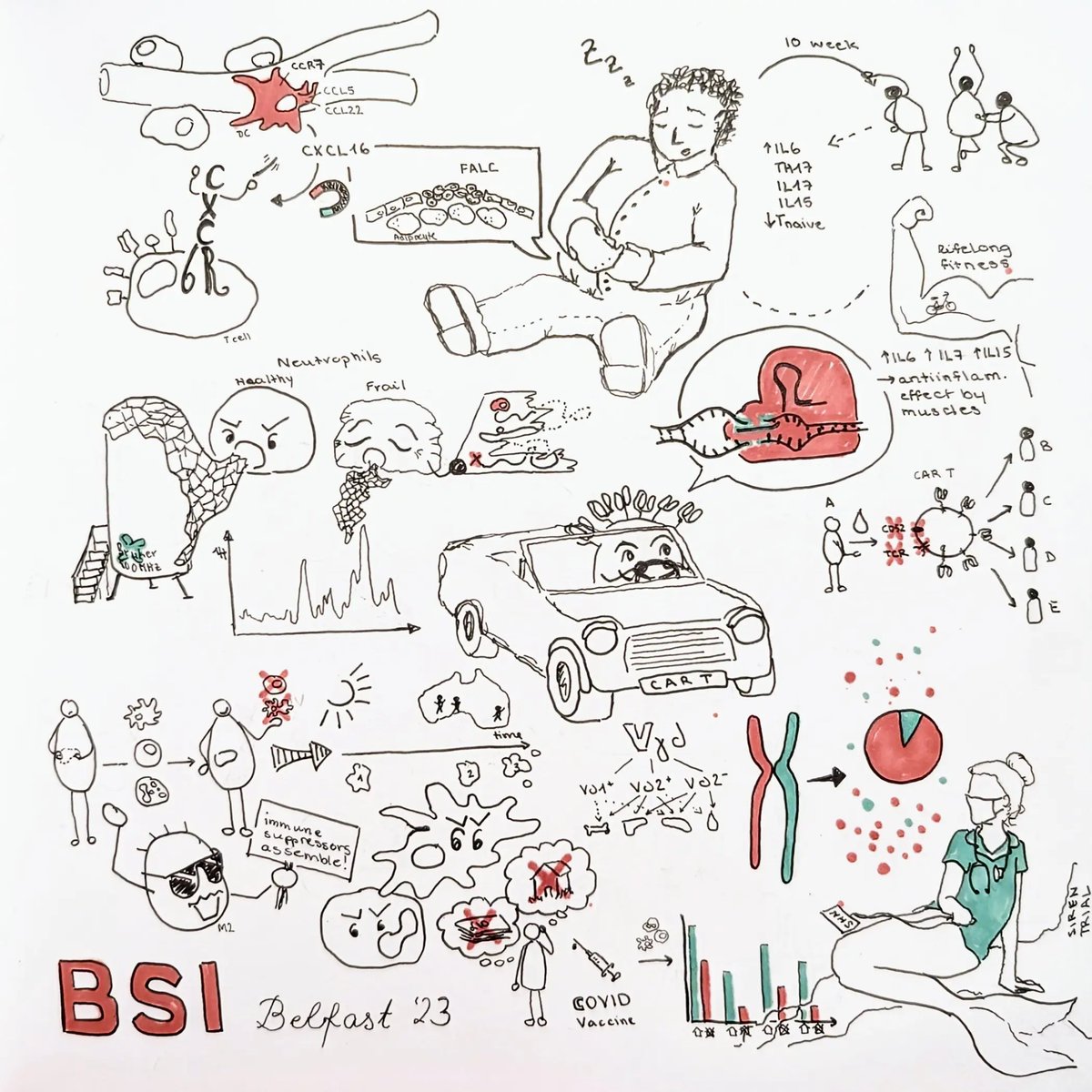 Summary of Day 2 of #BSI23. Phenomenal talks from inspiring scientists about #immunology. Thanks for taking me to the <a href="/britsocimm/">British Society for Immunology</a> conference 2023 <a href="/delaroche_cruk/">de la Roche Lab CRUK</a>
