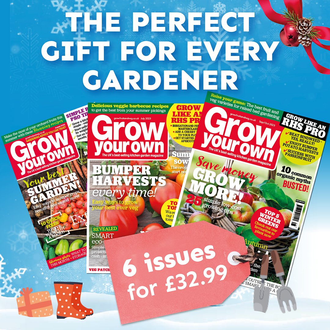 Looking for something to buy your green-fingered friends or family this Christmas? A subscription to Grow Your Own magazine is sure to go down a treat, and you can enjoy six issues for just £32.99. Head to growfruitandveg.co.uk/xmas and get another present ticked off your list!