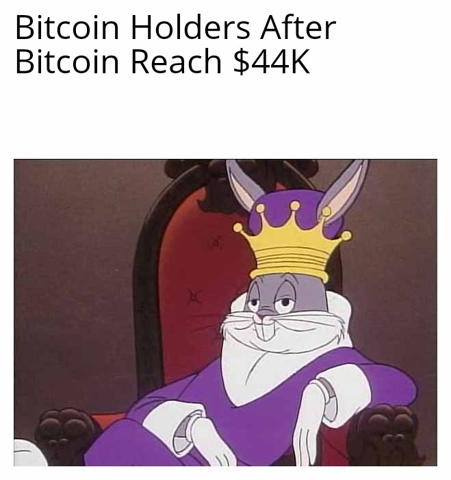 FingerzFrog's tweet photo. Bitcoin Holder's Now 👑 https://t.co/5QpgNTHPTK