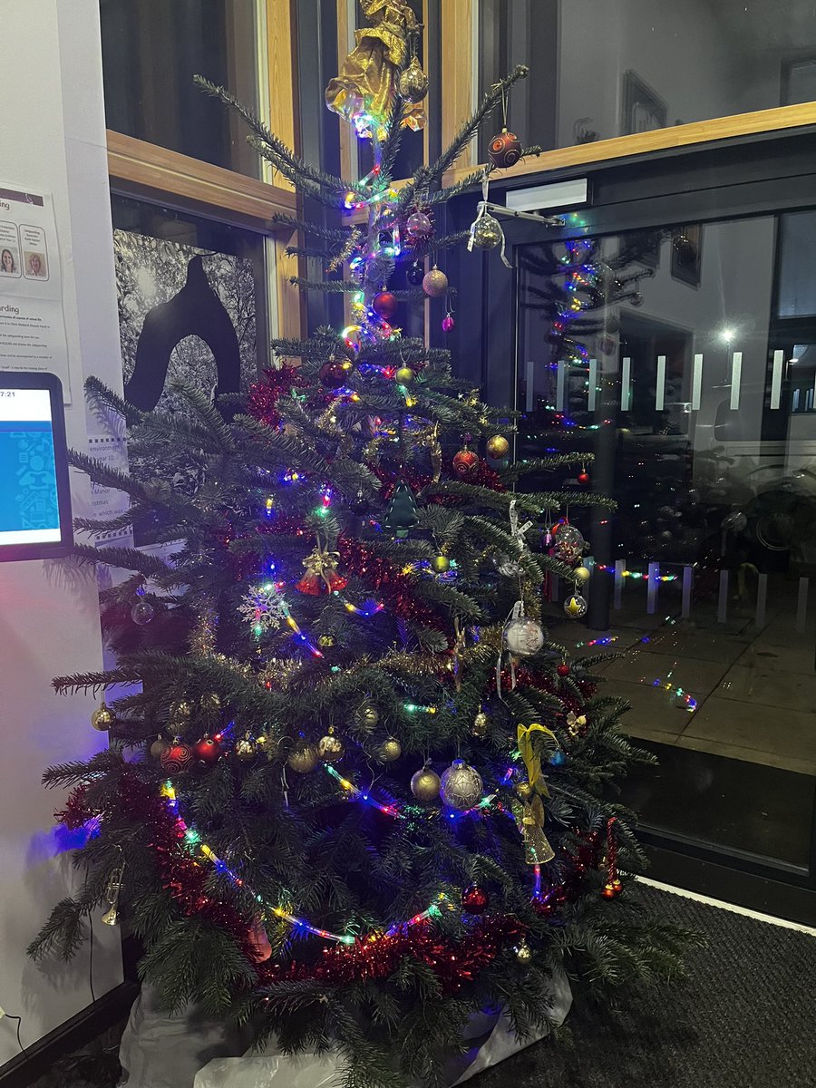 StonyDean's tweet image. Christmas has arrived. With thanks to Christmas Trees Farm Chesham!