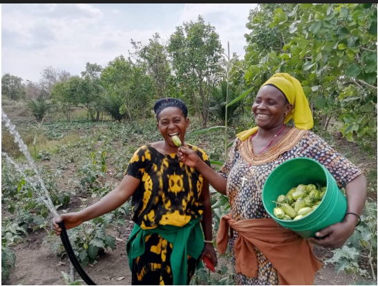 tanzdevtrust's tweet photo. #TDTPhotoComp📸
In much of rural Tanzania farmers can only grow crops during the rainy seasons, access to irrigation is a game changer, #IncreasingIncomes and #FoodSecurity🍚
Read more here: https://t.co/1KR9VXSXDR
#TDTProjects #LNOB #TDTEndHunger #TDTEndPoverty #TDTBigGive23 https://t.co/Er5Tv0HNZr