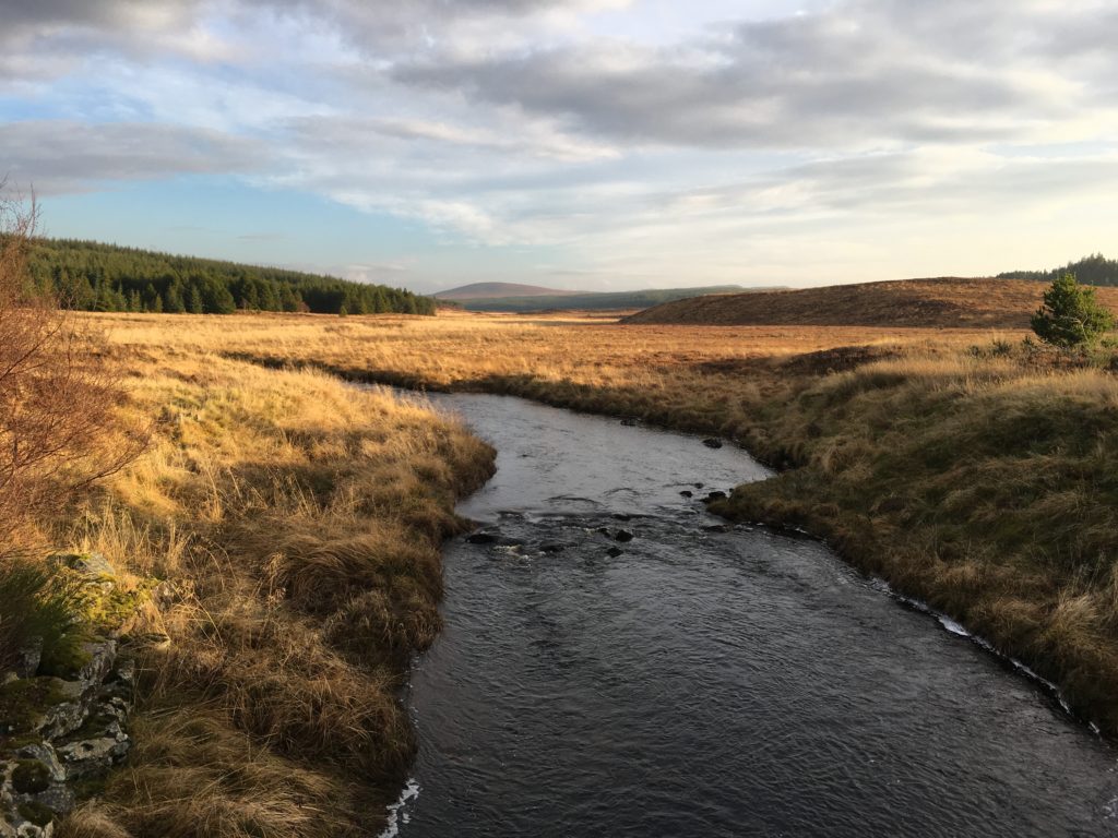 If you work with peatlands as a researcher, government official, funder, policymaker, local community group or individual – then do have your say.

#PeatQuest is seeking the most crucial questions that still need answers in peatland research.ucc.ie/en/peatquest/