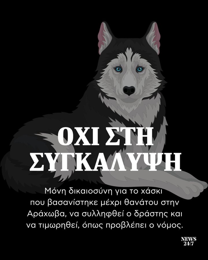 #Αραχωβα #Ολιβερ 
Ο δράστης ή οι δράστες σε περίπτωση σύλληψης θα είναι αντιμέτωποι με ποινή κάθειρξης έως και 10 χρόνια και χρηματική ποινή έως 50.000. Πρόκειται για το νόμο 4830/2021, ο οποίος προβλέπει ότι ο βασανισμός ζώου και η εσκεμμένη πρόκληση πόνου είναι κακούργημα που