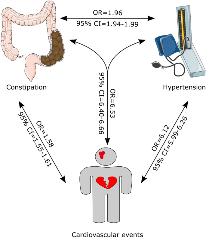 hyderabaddoctor's tweet photo. Constipation is associated with a higher risk of hypertension, heart attack and stroke in people aged 60 or more

About 15% people aged 60 and above suffer from constipation.
In a recently published study, the association between constipation, hypertension and cardiovascular events were studied in 541,172 hospitalized patients aged ≥ 60 years.

Results of the study
1. Compared to people with no constipation, people with constipation had 2-fold higher risk of hypertension,
2. People with constipation also had 30% higher risk of cardiovascular events, 10% higher risk of myocardial infaction, and 50% higher risk of stroke,
3. Hypertension is known to increase the risk of cardiovascular events and this study also showed so,
4. The effects of hypertension and constipation were additive. People with both constipation and hypertension had almost 7-fold higher risk of cardiovascular events and stroke. 

Possible mechanisms linking constipation and hypertension
1. Gut dysbiosis
2. Straining at stool could raise the BP by as much as 70 mmHg.

Take home message
1. Risk factor evaluation in older people should include history of constipation,
2. Efforts should be made to determine the cause of constipation and appropriately treat it. 

Limitation: This study only studied the association, so, cause and effect can not be established. Further studies are needed to make a definitive conclusion.

Ref: https://t.co/peluphJhV1

#MedTwitter