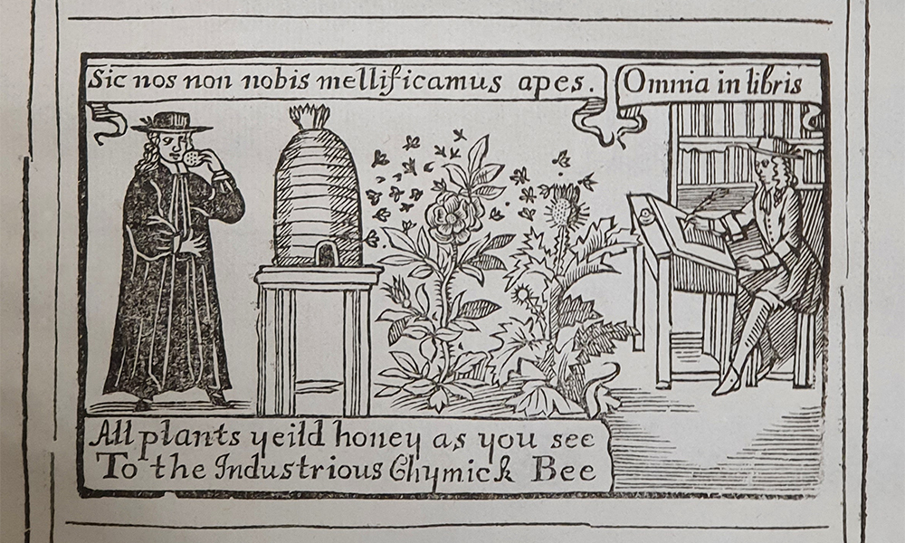 Advent Calendar Day 21: Today's post on the bees with a beautiful image of pollinating bees from ‘The Compleat Library’, (1692) in the #Bolton Library! Check specialcollections.ul.ie/advent-calenda… each day for new images & subscribe to our blog! #AdventCalendar @UL @ARAIreland @ULLibrary 🎄