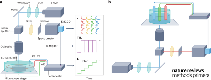 Check out this Primer from <a href="/ChristaBrosseau/">Christa Brosseau</a>  <a href="/SMUScience/">SMUScience</a> <a href="/smuhalifax/">Saint Mary’s University</a> <a href="/AJWilsonLab/">The Wilson Lab</a> <a href="/acolinaubu/">Alvaro Colina</a> <a href="/UBUinvestiga/">UBUinvestiga</a> <a href="/prjuanvict/">Juan V. Perales-Rondón</a> for tips on using EC-SERS in your research: go.nature.com/3Qt1W4x